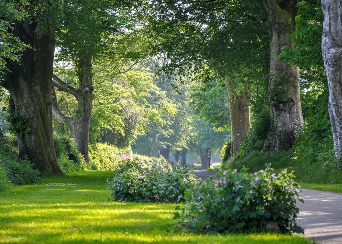 Woodovis Park 호텔 태비스톡 외부 사진